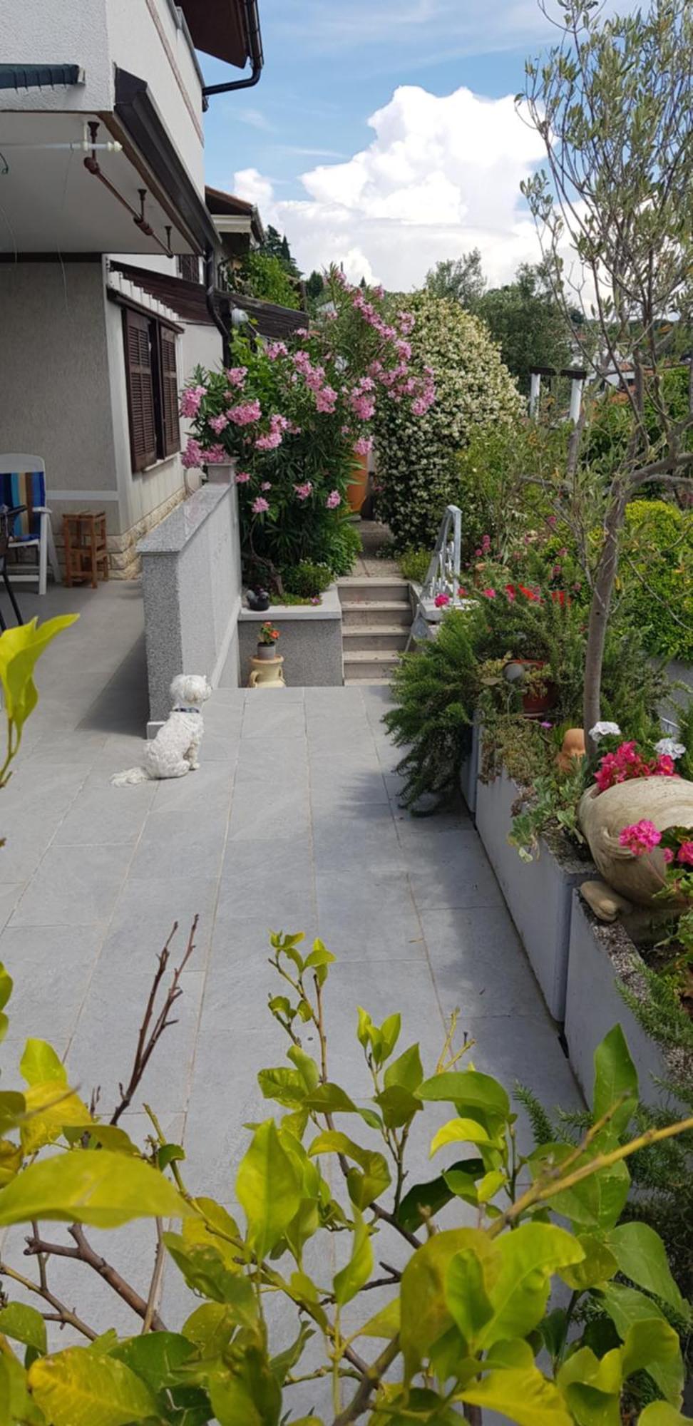 Tramontana Διαμέρισμα Lucija Εξωτερικό φωτογραφία